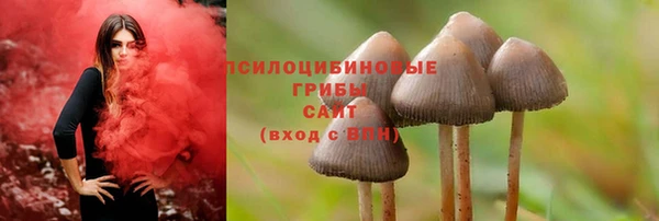 mix Алексин
