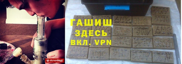 стаф Касимов